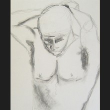 The Swimmer